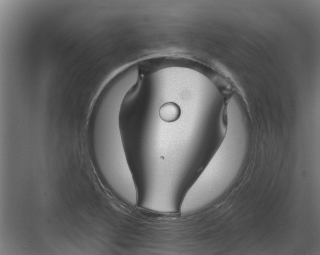 X0000082161320200702092207