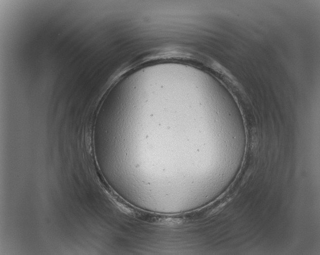 X0000082161321200702092207