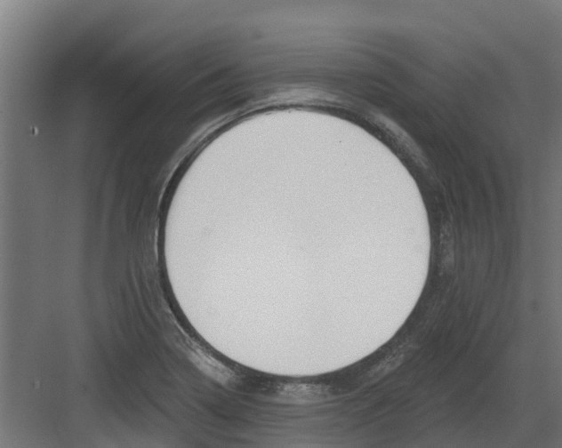 X0000082161322200702092207