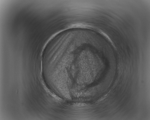 X0000082161323200702092207