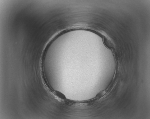 X0000082161325200702092207