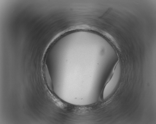 X0000082161326200702092207