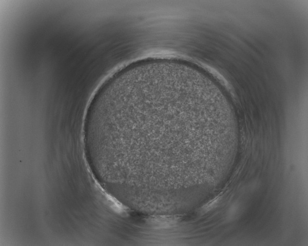 X0000082161327200702092207