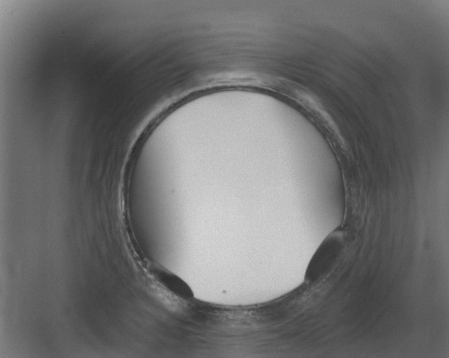 X0000082161328200702092208