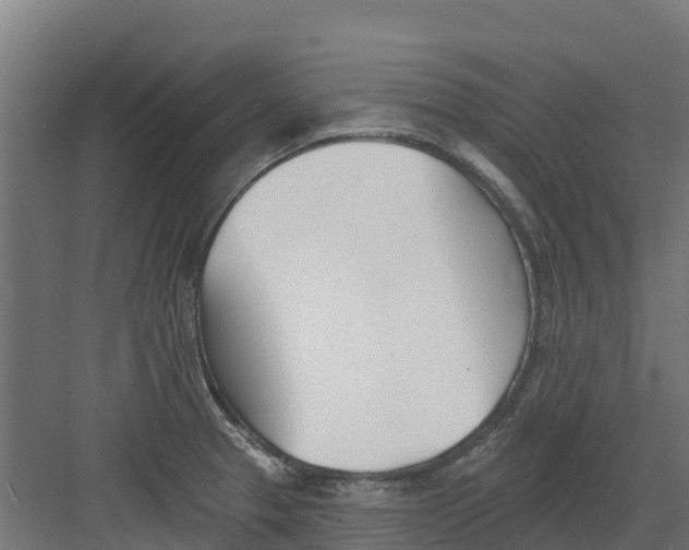 X0000082161329200702092208