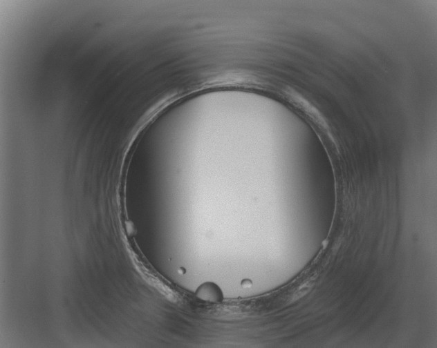 X0000082161330200702092208