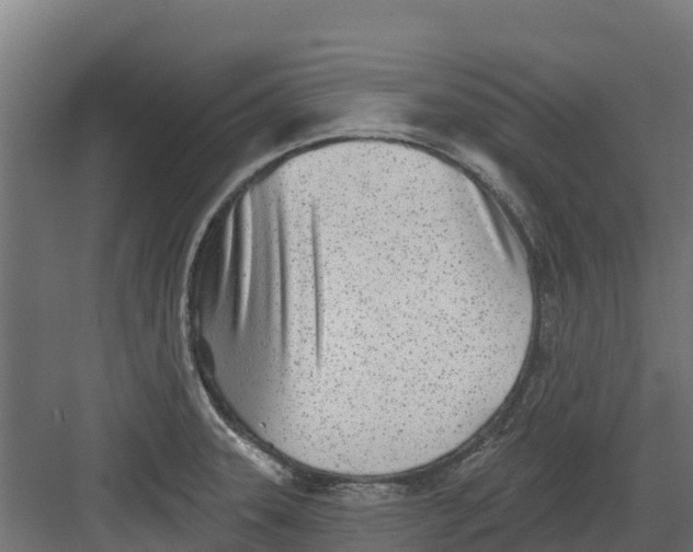 X0000082161331200702092208