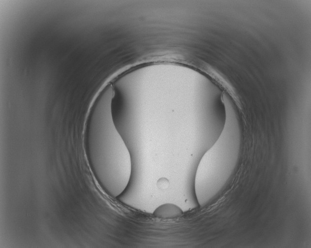 X0000082161332200702092208