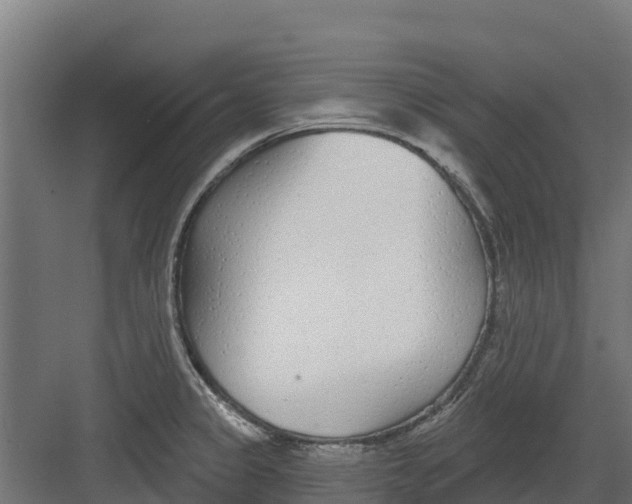 X0000082161333200702092208