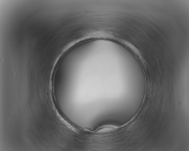 X0000082161335200702092208