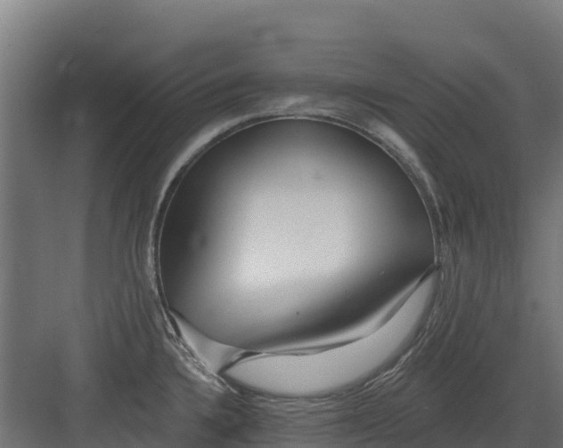 X0000082161336200702092208