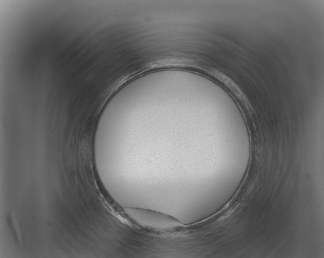 X0000082161337200702092208