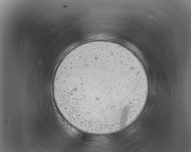 X0000082161338200702092208