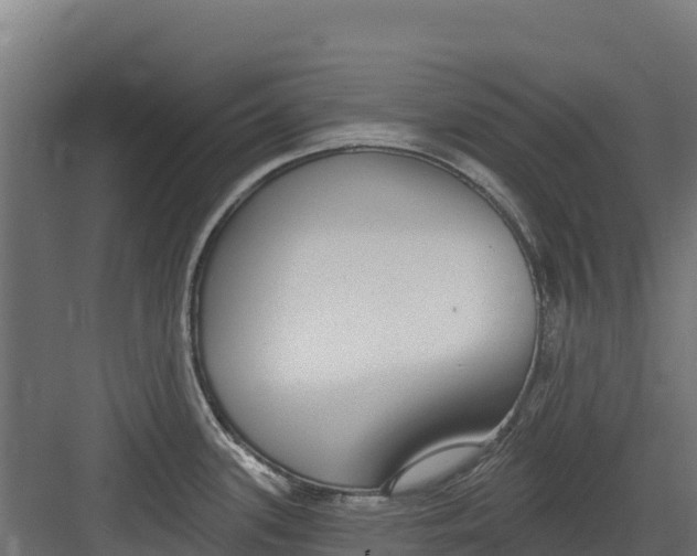 X0000082161339200702092208