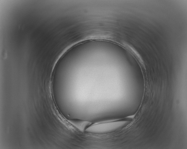 X0000082161340200702092208