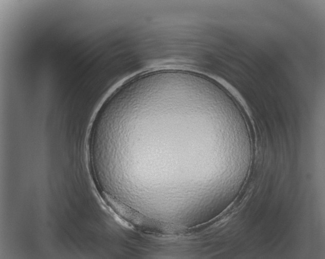 X0000082161341200702092208