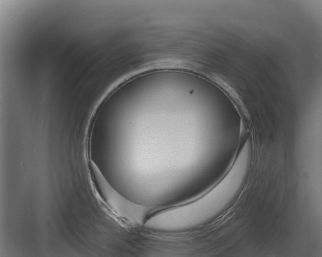 X0000082161342200702092208