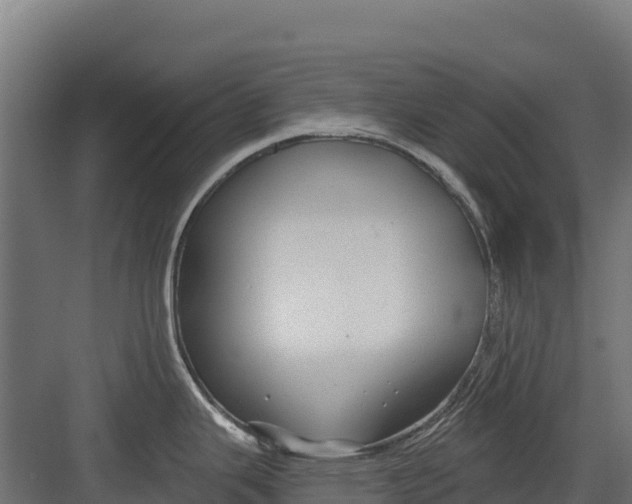 X0000082161343200702092208