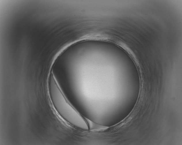 X0000082161344200702092208