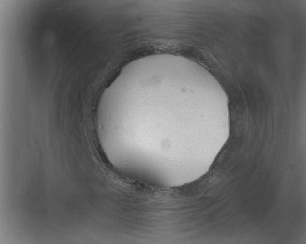 X0000082161345200702092207