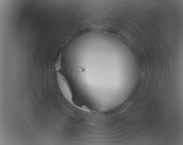 X0000082161346200702092207