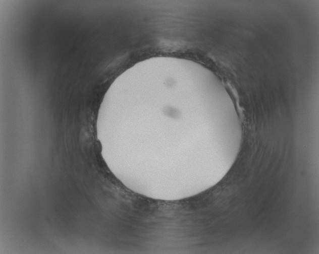 X0000082161349200702092207