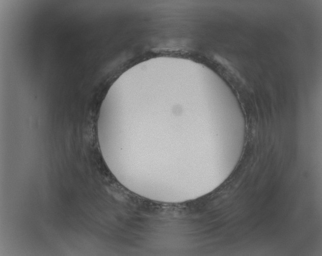 X0000082161350200702092207