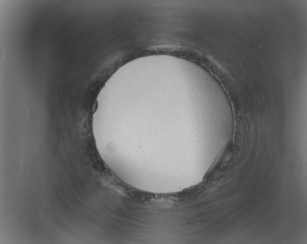 X0000082161351200702092207