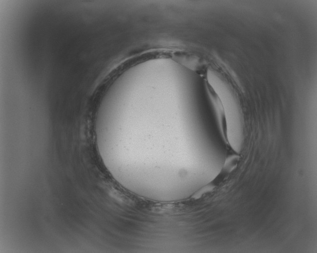 X0000082161352200702092207