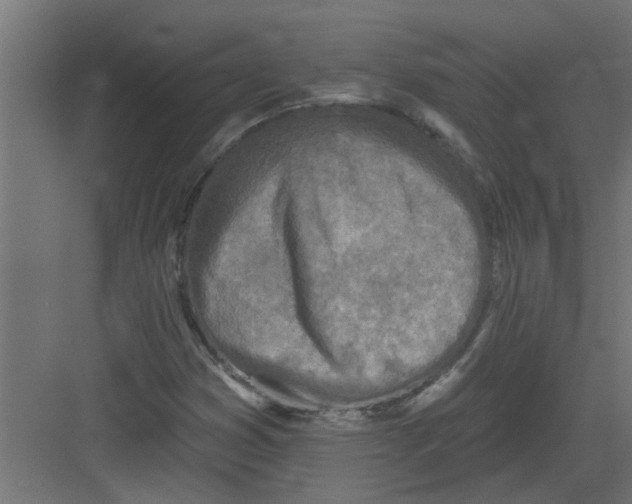 X0000082161353200702092207