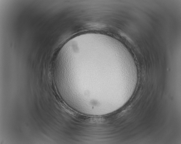 X0000082161354200702092207