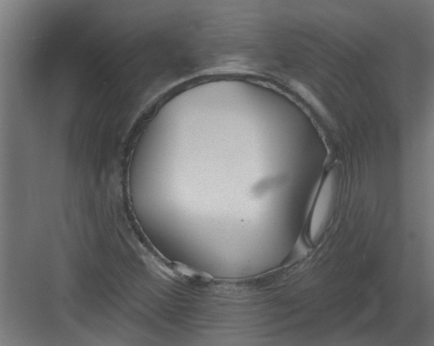 X0000082161356200702092207