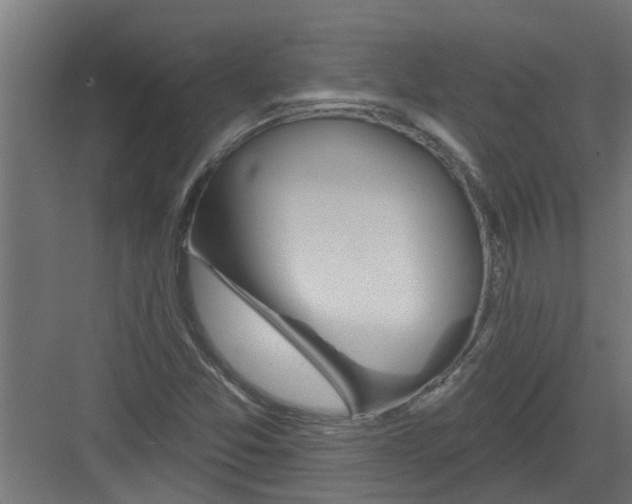 X0000082161357200702092207