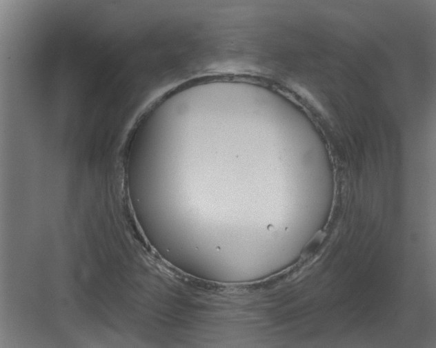 X0000082161358200702092207