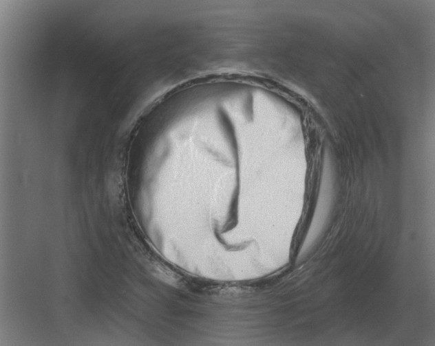 X0000082161359200702092207