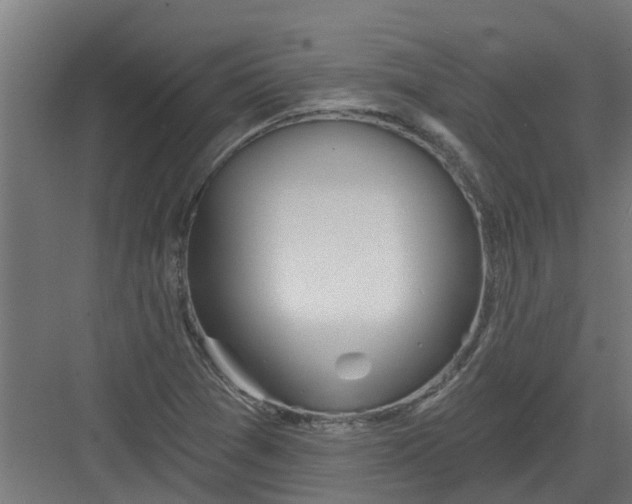 X0000082161361200702092207