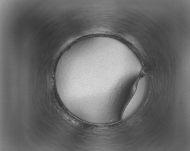 X0000082161363200702092207