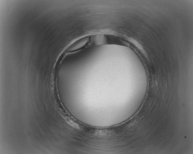 X0000082161364200702092207