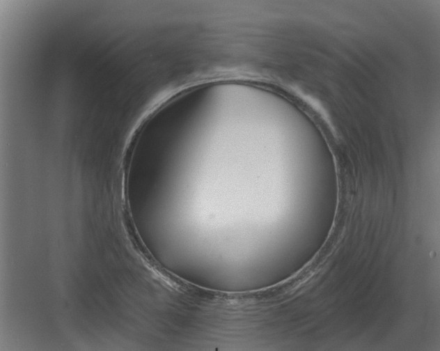 X0000082161365200702092207