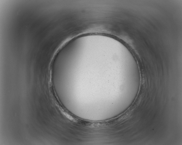 X0000082161366200702092207