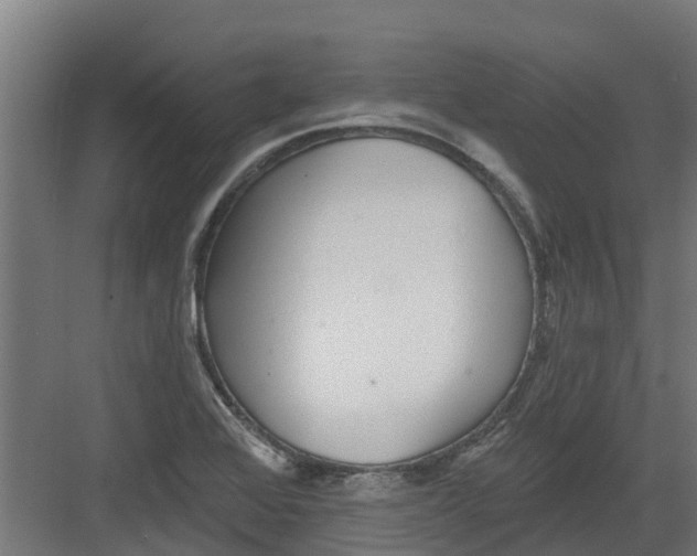 X0000082161368200702092207