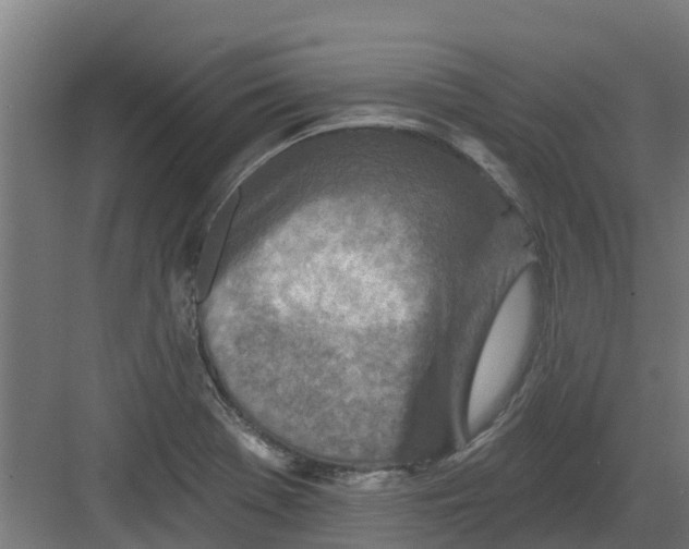 X0000082161369200702092207