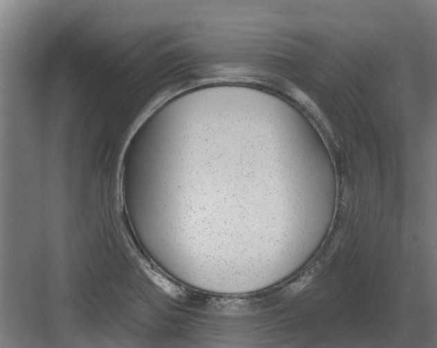 X0000082161370200702092207