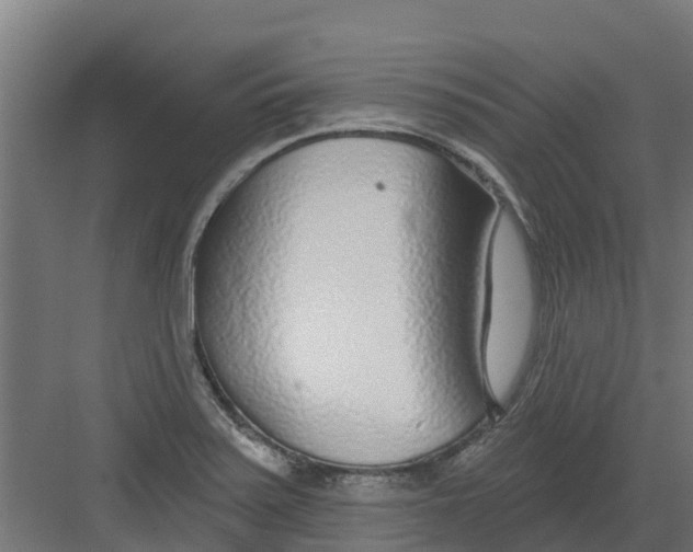 X0000082161371200702092207