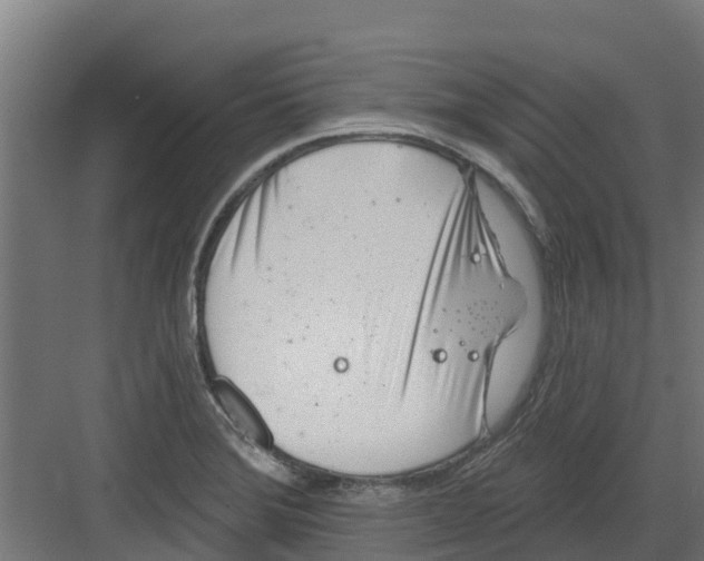 X0000082161372200702092207