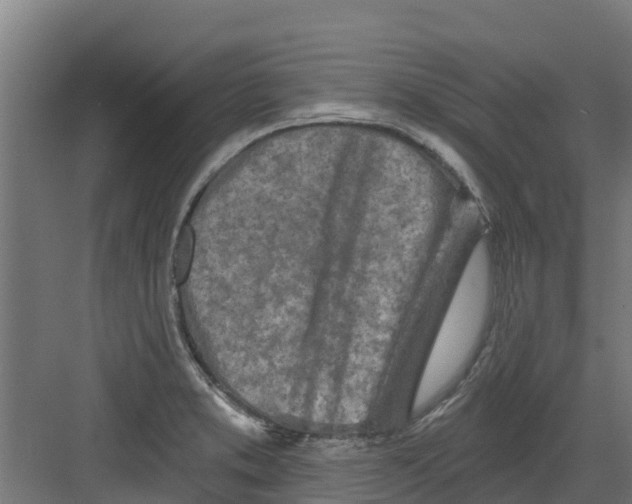 X0000082161373200702092207