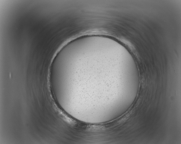 X0000082161374200702092206