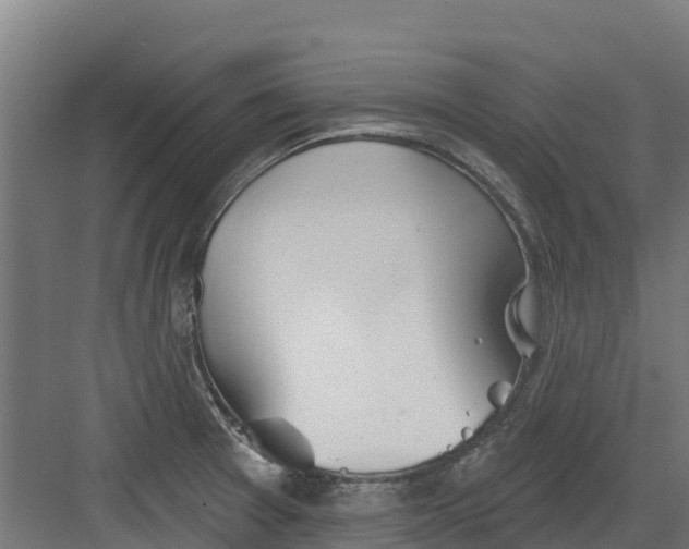 X0000082161377200702092206