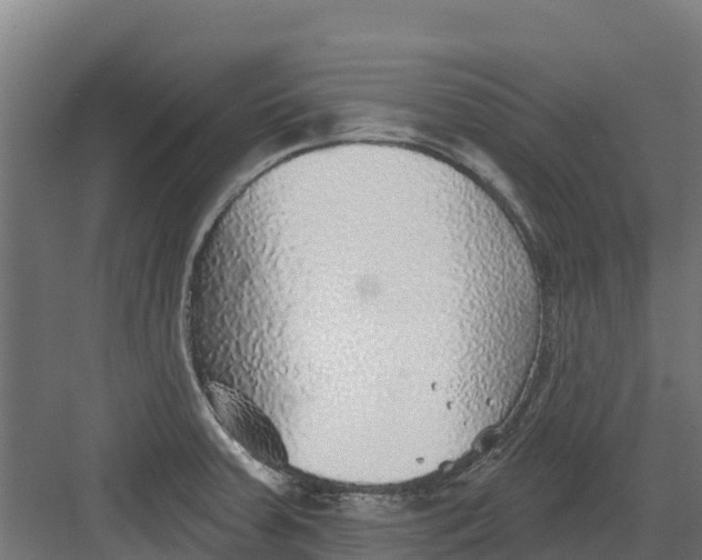 X0000082161379200702092206