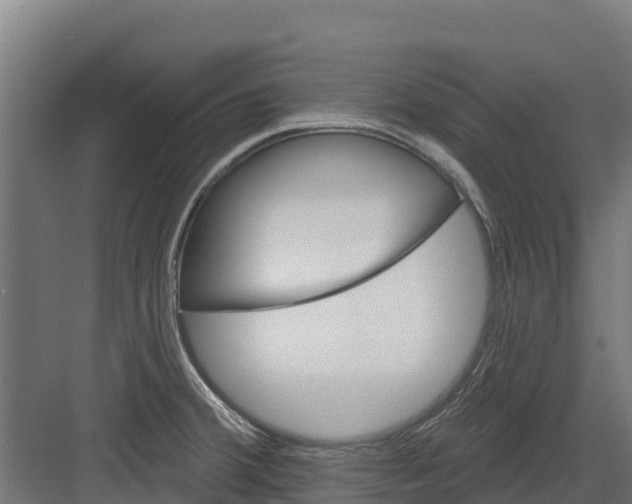 X0000082161380200702092206